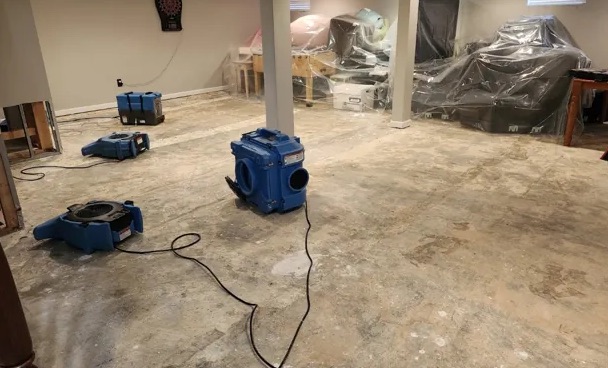 Moisture Mapping in Arlington, MA